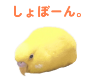 842819128