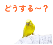 842819130