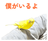 842819131
