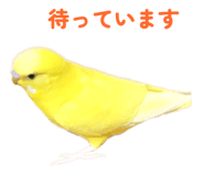 842819132