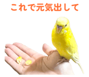 842819133