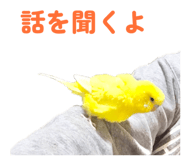 842819135