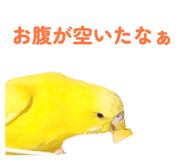 842819137
