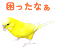 842819139