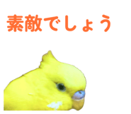 842819140