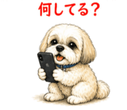 842819637