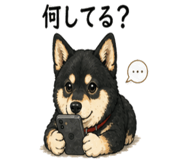 842819853