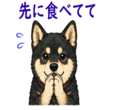 842819862