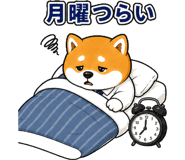 842819914