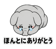 842820210