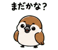 842820499