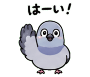 842820753