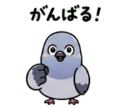842820768