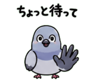 842820771