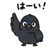 842820881