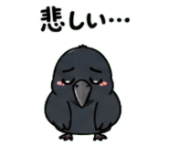 842820885