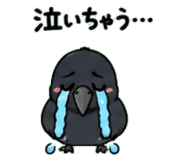 842820886