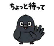 842820899