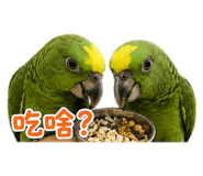 842821338