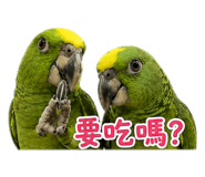 842821339
