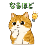 842822538