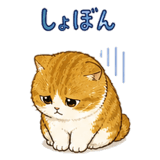 842822545