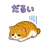 842822548