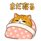 842822549