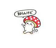842822857