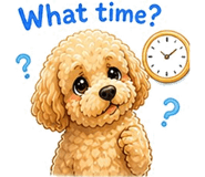 842822951