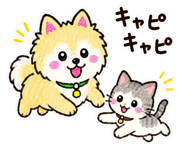 842823023