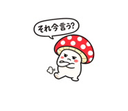 842823155