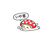 842823157