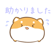 842823466