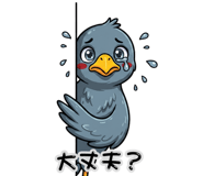 842823576