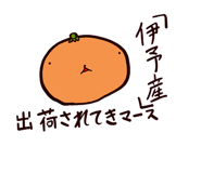 842824341