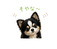 842825093