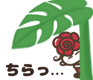 842825141