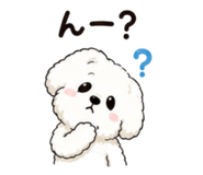 842825295