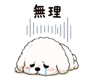 842825300