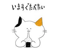 842825484