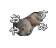 842825613