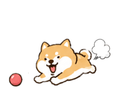 842825675