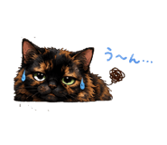 842825710