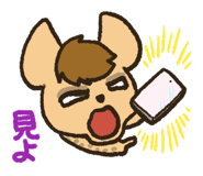842825754