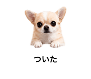 842825963