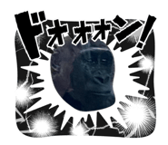 842826035