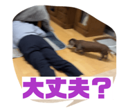 842826286