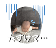 842826466