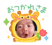 842826729